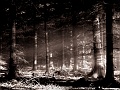02 Safe Haven Copyright Villayat Sunkmanitu